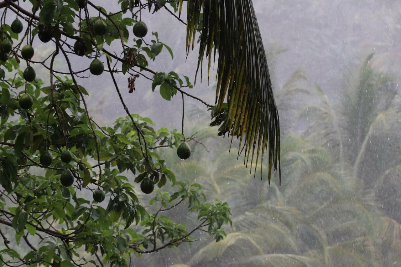 Hill Country Villa Kandy Luaran gambar